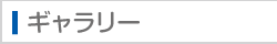 ギャラリー